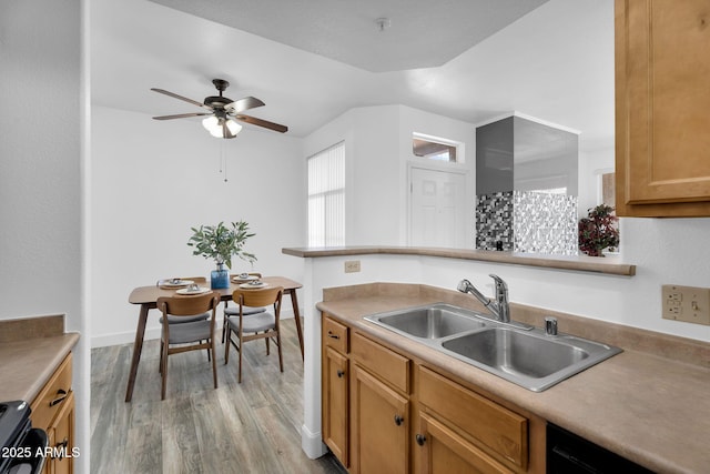 kitchen featuring a sink, stove, a ceiling fan, and light wood-style floors