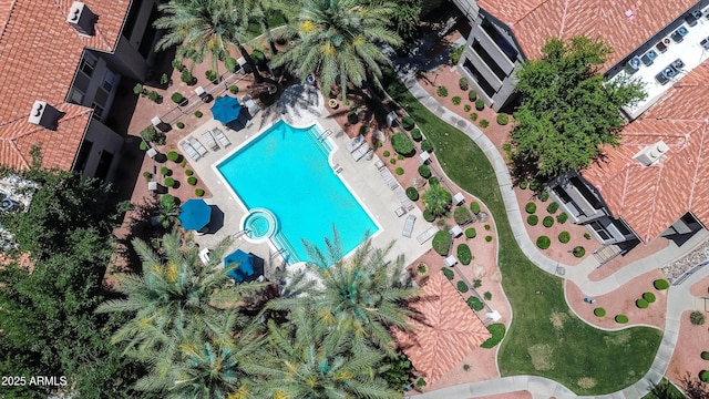 bird's eye view of a pool area