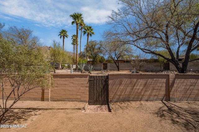 8118 N Gibraltar Dr, Tucson, AZ 85704 - view of yard with fence and a gate