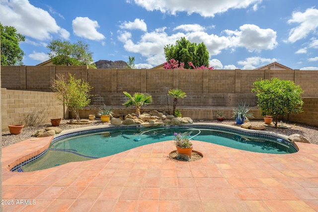 25825 N 65th Ave, Phoenix, AZ 85083 - view of pool with a fenced backyard, a fenced in pool, and a patio