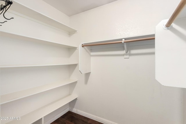 3913 E Derringer Way, Gilbert, AZ 85297 - walk in closet with dark wood-style flooring