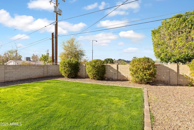 view of yard with a fenced backyard