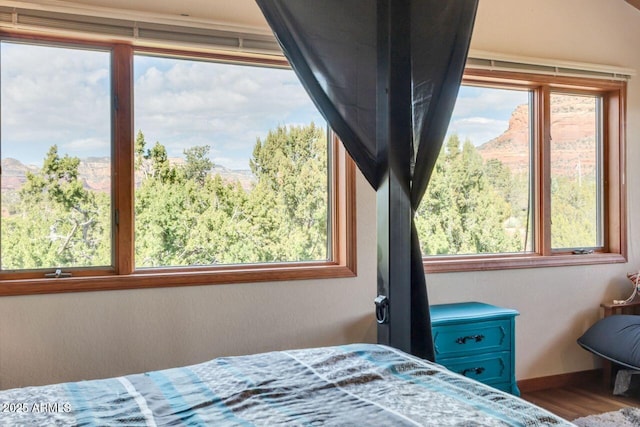 bedroom with multiple windows, wood finished floors, and baseboards