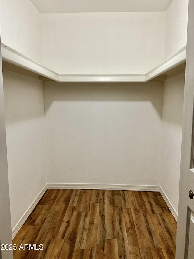 spacious closet featuring dark wood-type flooring