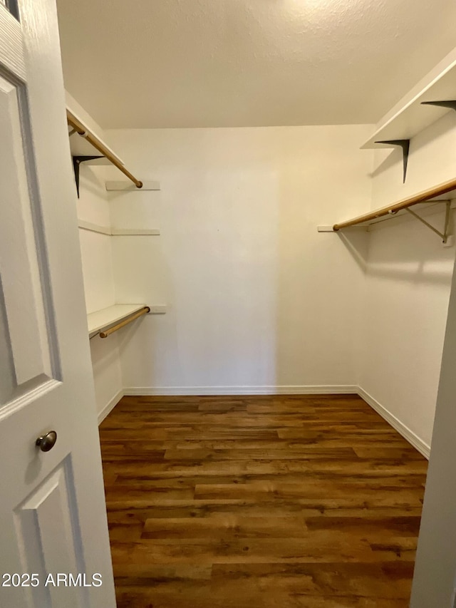 spacious closet featuring dark hardwood / wood-style flooring