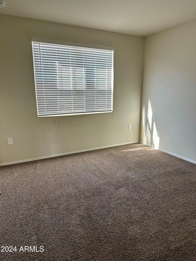 unfurnished room featuring carpet