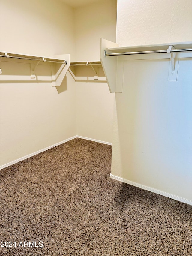 walk in closet featuring carpet flooring