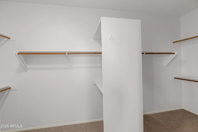 walk in closet featuring carpet