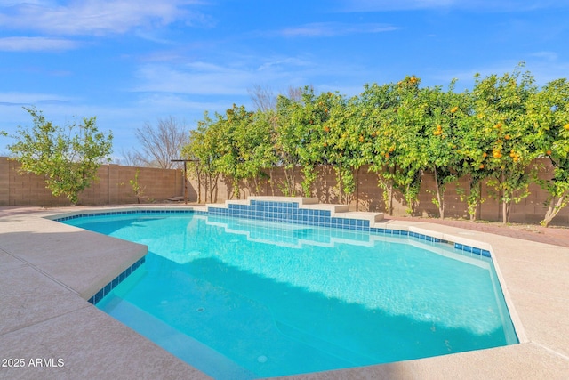 view of swimming pool featuring a fenced backyard and a fenced in pool