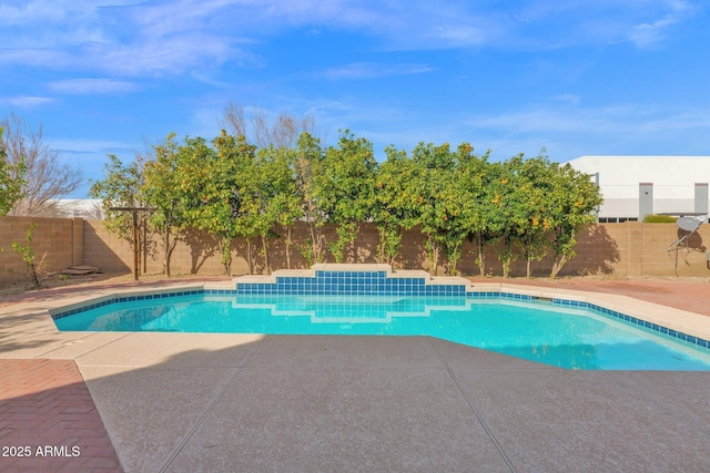 view of pool featuring a fenced in pool, a patio area, and a fenced backyard