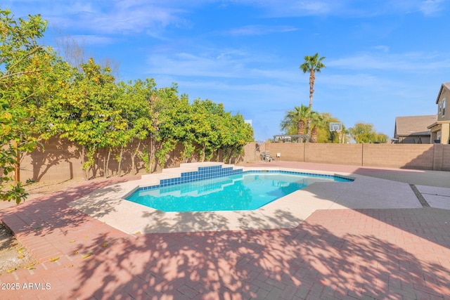 view of pool featuring a fenced backyard, a fenced in pool, and a patio