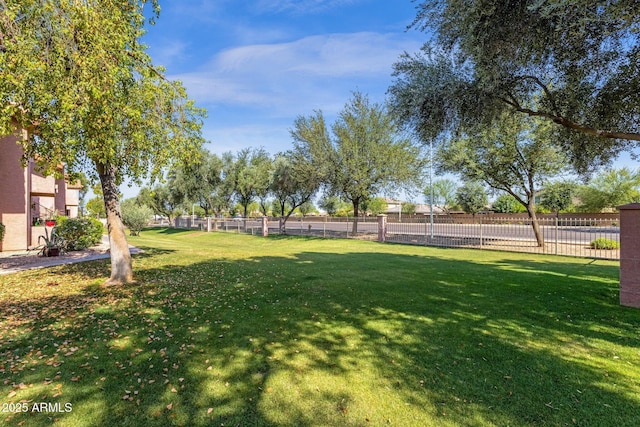 1075 E Chandler Blvd Unit 212, Chandler, AZ 85225 - view of yard