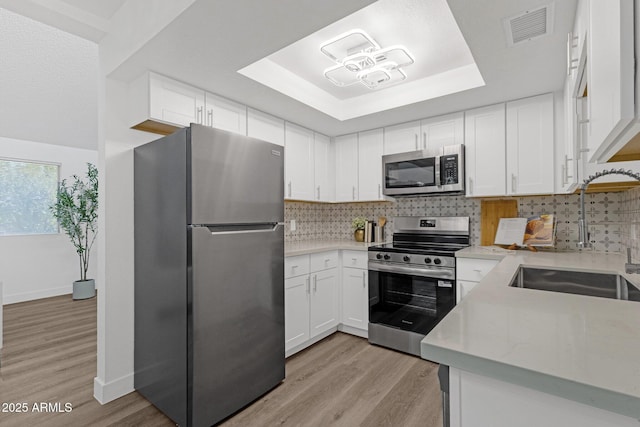 1075 E Chandler Blvd Unit 212, Chandler, AZ 85225 - kitchen with stainless steel appliances, a raised ceiling, light wood-style flooring, and light countertops
