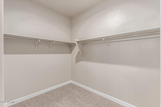 spacious closet featuring carpet