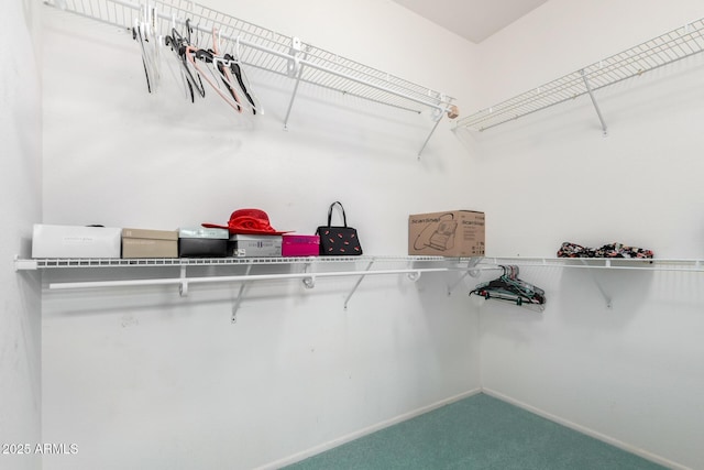 spacious closet with carpet floors