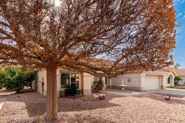 view of property hidden behind natural elements featuring a garage