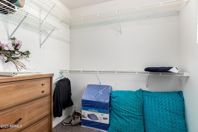 spacious closet with carpet flooring