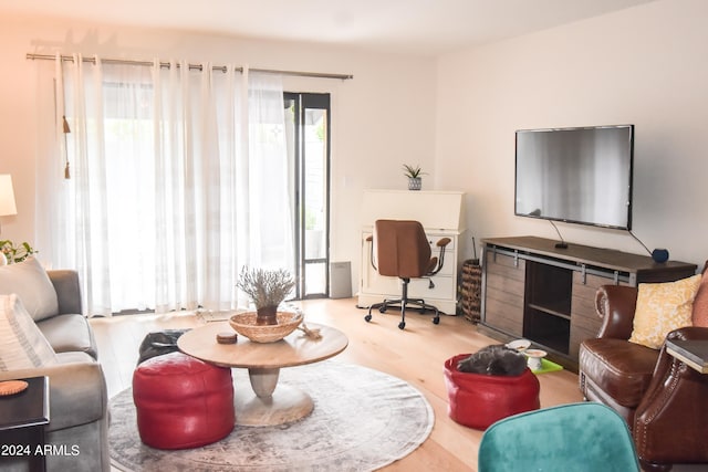 living room featuring light wood-type flooring