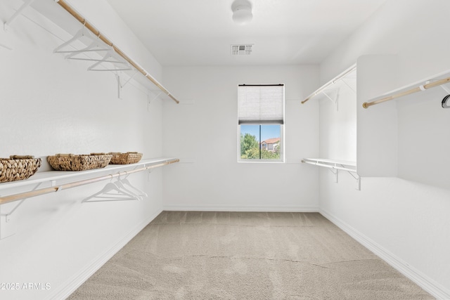 10331 E Starion Ave, Mesa, AZ 85212 - walk in closet with carpet