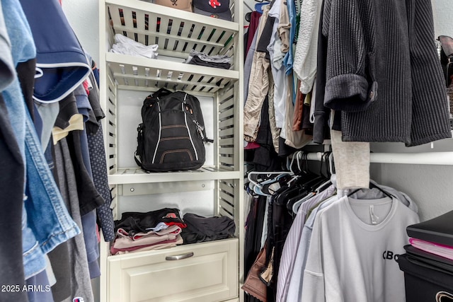 view of walk in closet