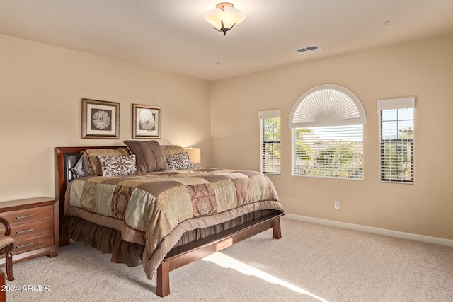 carpeted bedroom with multiple windows