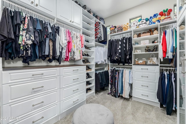 spacious closet with light colored carpet