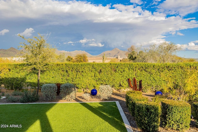 view of yard featuring a mountain view