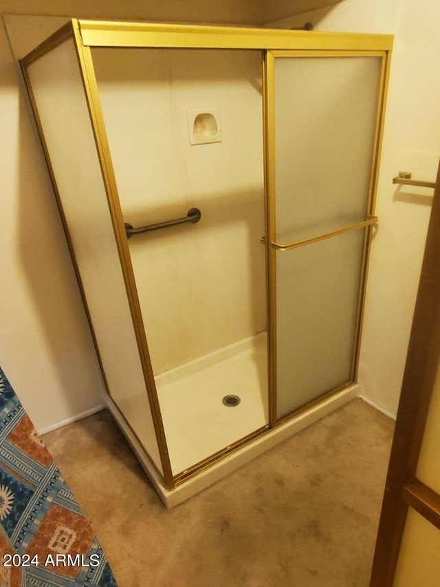 bathroom featuring a shower stall