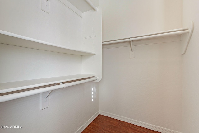 spacious closet with dark wood-type flooring