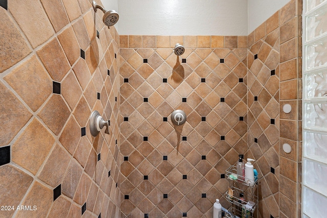 interior details featuring tiled shower