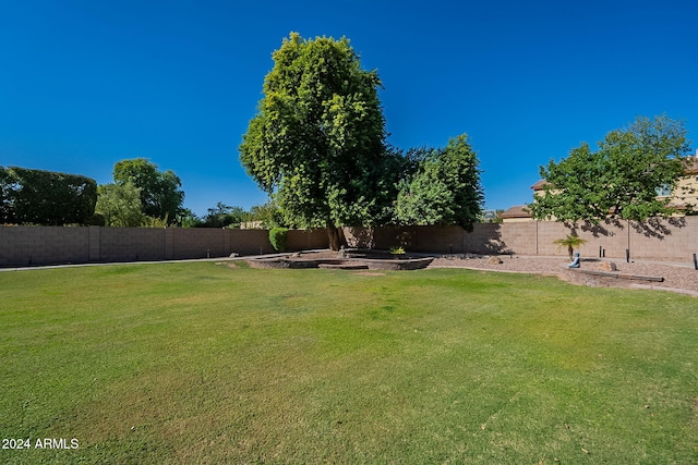 1912 E Gemini Pl, Chandler, AZ 85249 - view of yard with a vegetable garden