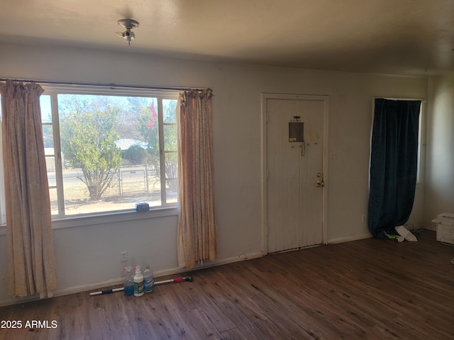 entryway featuring wood finished floors
