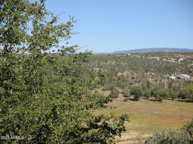 Listing photo 2 for LOT35-36 W Rim Dr Unit 35, Payson AZ 85541