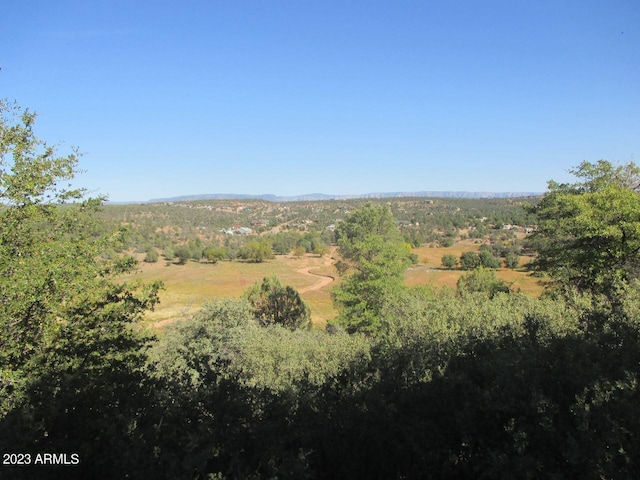 Listing photo 3 for LOT35-36 W Rim Dr Unit 35, Payson AZ 85541