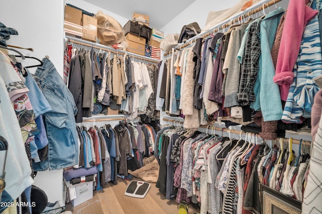 spacious closet featuring wood finished floors