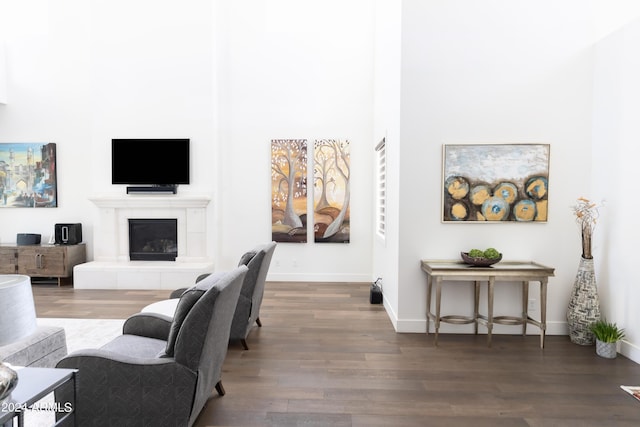 living room featuring a tiled fireplace and dark wood-type flooring