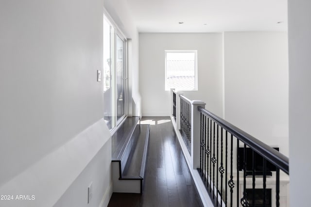 hallway with dark wood-type flooring