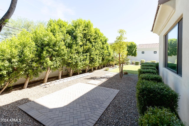 view of yard featuring a patio area