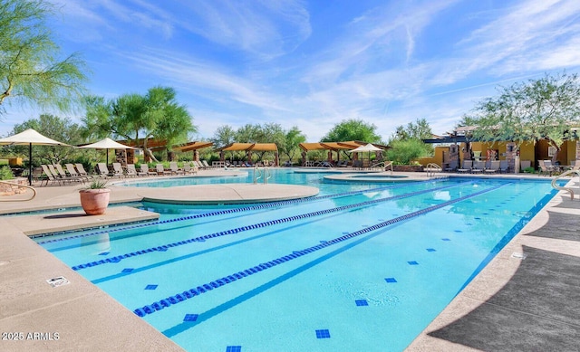 3935 E Rough Rider Rd Unit 1066, Phoenix, AZ 85050 - community pool with a patio