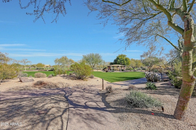 3935 E Rough Rider Rd Unit 1066, Phoenix, AZ 85050 - view of grassy yard