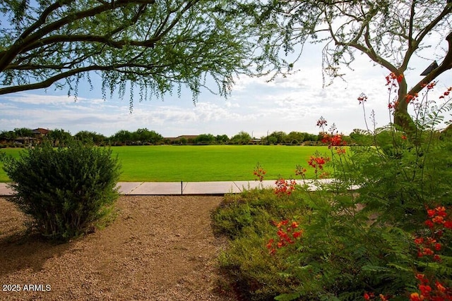 3935 E Rough Rider Rd Unit 1066, Phoenix, AZ 85050 - view of green lawn
