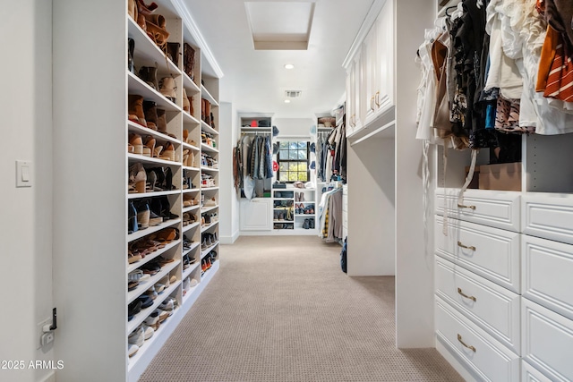 walk in closet with light colored carpet