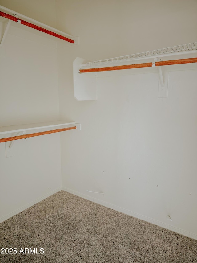 walk in closet featuring carpet flooring