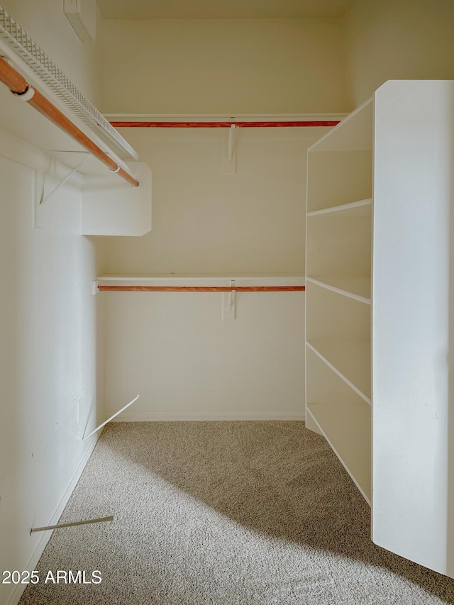 spacious closet with carpet floors