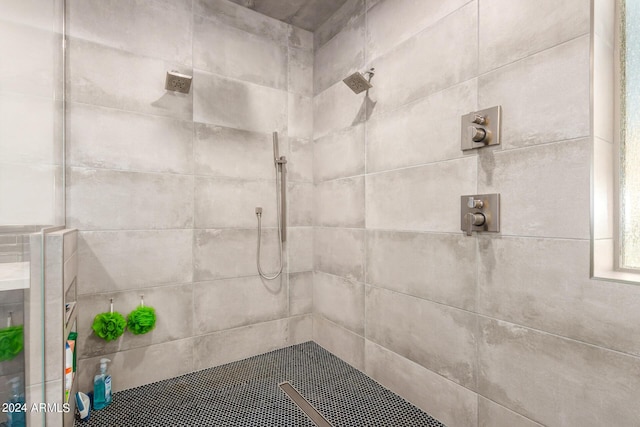 bathroom view of tiled shower and pet washing station