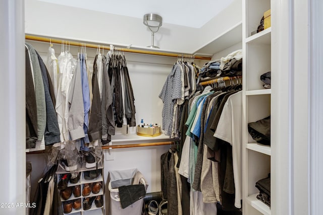 view of walk in closet