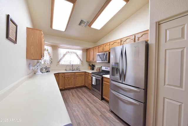 1219 E Avenida Isabela, Casa Grande, AZ 85122 - kitchen featuring stainless steel appliances, a sink, lofted ceiling, light wood-style flooring, and light countertops