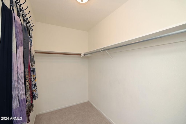 spacious closet featuring carpet floors