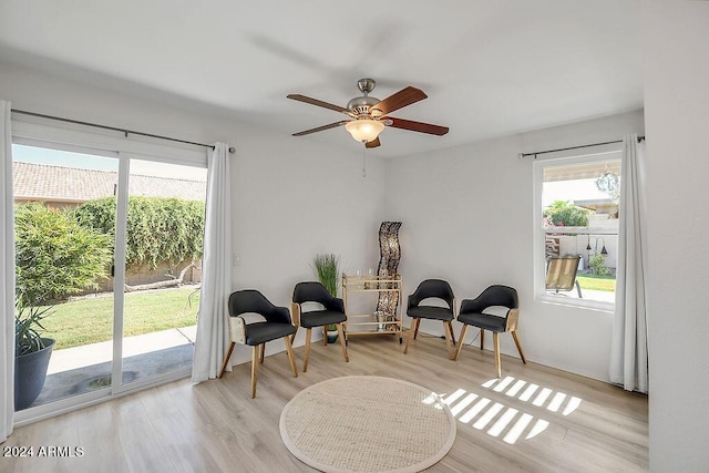 living area with light hardwood / wood-style flooring and ceiling fan