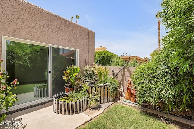 view of yard featuring a patio area